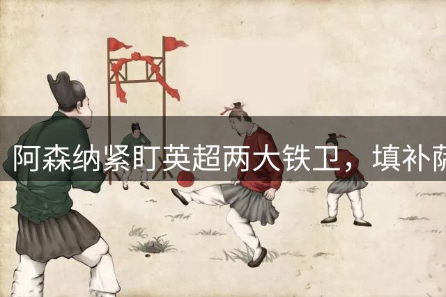 阿森纳紧盯英超两大铁卫，填补萨利巴长期伤缺空缺